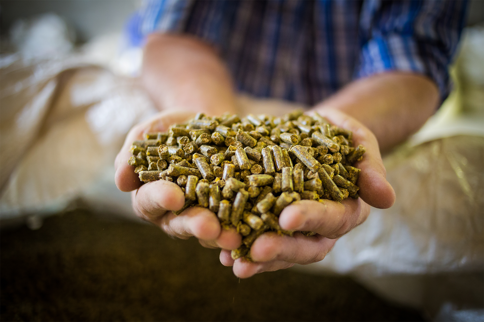 Animal Feed Manufacturer in India